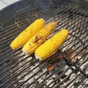 corn.jpg