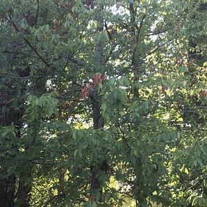 IMG_0170.JPG