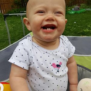 20170526_172623.jpg