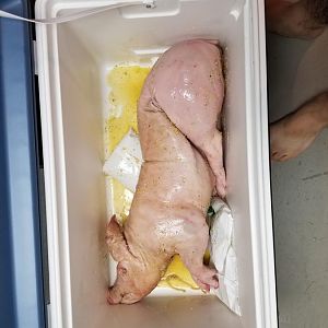20170527_175630.jpg