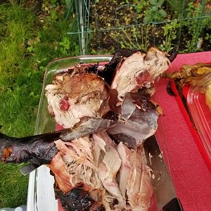 20170528_155657.jpg