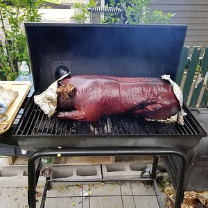 20170528_151813.jpg