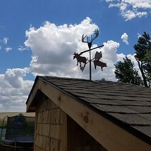 20170529_142110.jpg