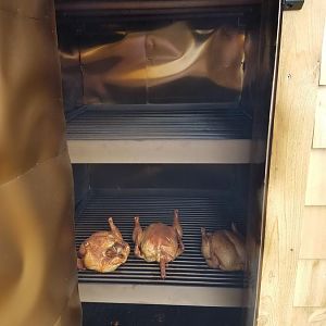 20170529_150847.jpg