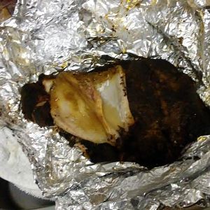 20170529_141502.jpg