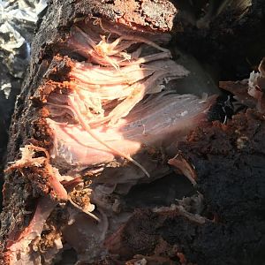 IMG_0480.JPG