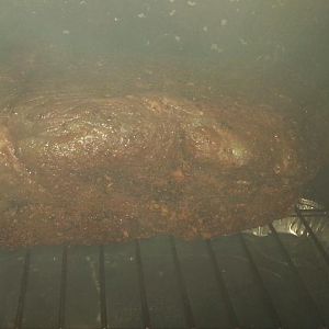 Smoked Pork Butt V 1- getting started.jpg