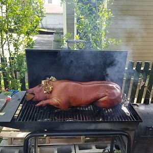 20170528_100902.jpg
