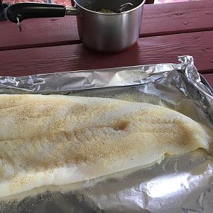 IMG_0255.JPG