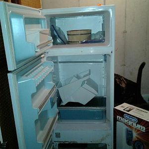 smoker fridge.jpg