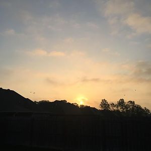 IMG_7637.JPG