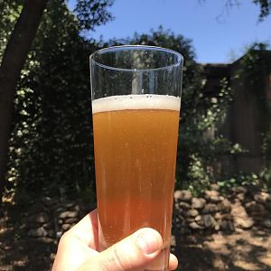3. Homebrew.JPG