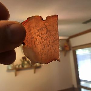 IMG_9669[1].JPG