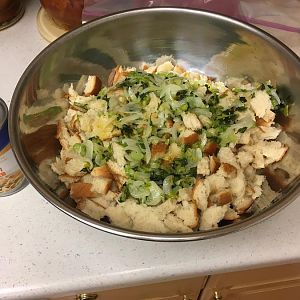 IMG_0351.JPG