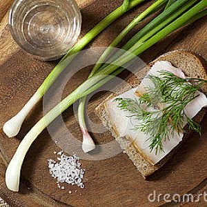 sandwich-salted-lard-rye-bread-vodka-view-above-58
