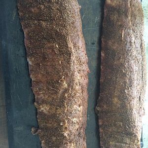 First Baby Back Pre Smoke.jpg