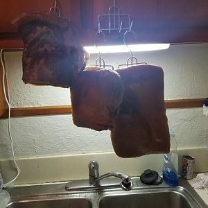 Bacon 6.jpg