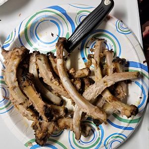 SB BB Ribs 36.jpg