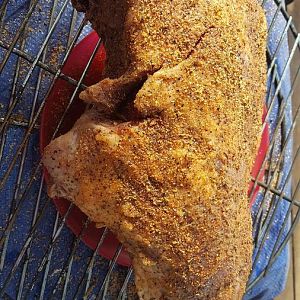 20045603_1464638370296412_1725246054548870669_o.jp