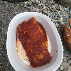 20170716_094517[181].jpg