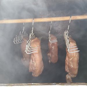 20170716_133044.JPG