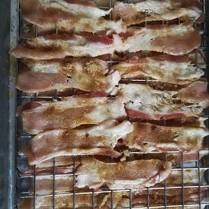 bacon4.jpg