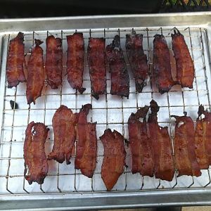 bacon5.jpg
