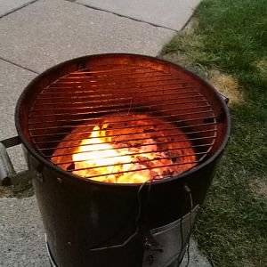IMG_20170727_210910.jpg