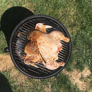 IMG_0037.JPG