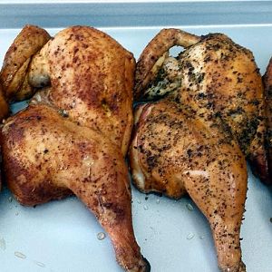 1stchkn2.jpg
