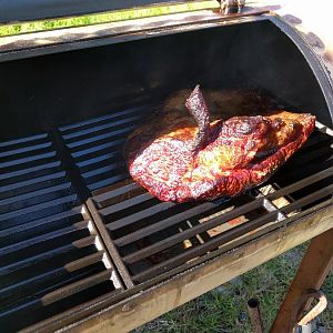 IMG_20160407_100024.jpg