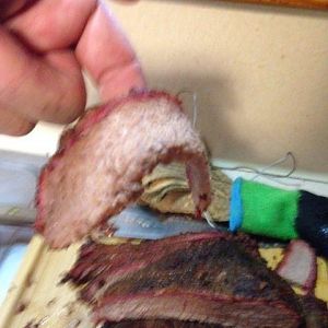 IMG_2865.JPG