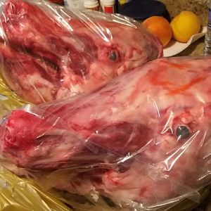 20170809_132619.jpg