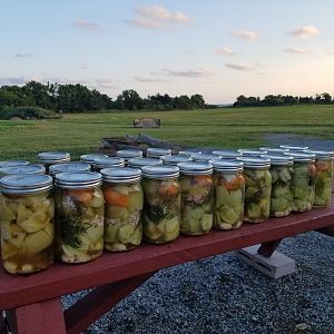 20170726_194524.jpg