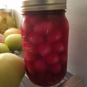 20170809_154318.jpg