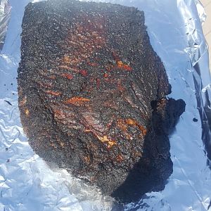 20170814_155535.jpg