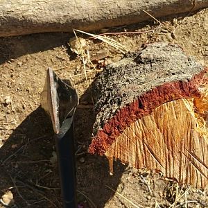 20170817_170109.jpg