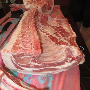 pig 4.JPG