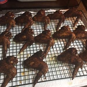 Wings 3.jpg
