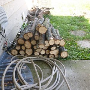 maple_pile.jpg