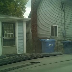 IMG_20170915_125519503.jpg