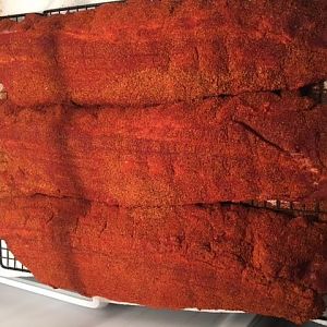 Ribs nap.jpg