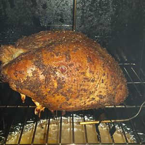 Turkey in MES.jpg