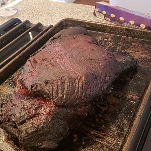 Brisket 7