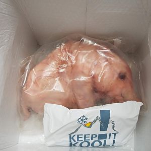 Frozen Delivery