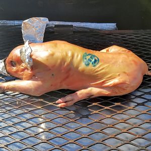2-3 hours in