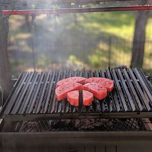 Grilled Watermellon