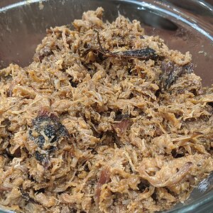 Pulled Pork Sauced