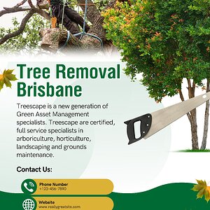 Media 'Tree Removal Brisbane.jpg' in album 'Tree Removal Brisbane'