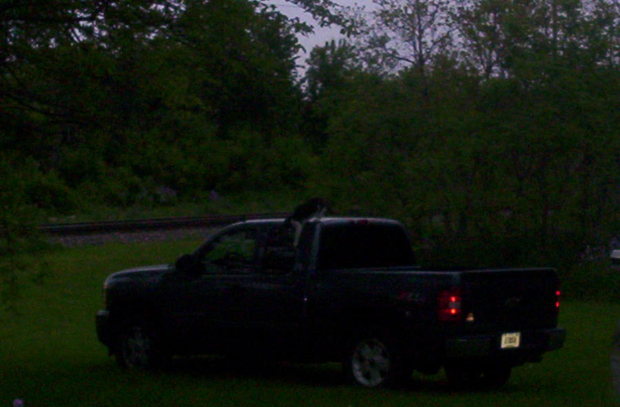 000_0529.jpg